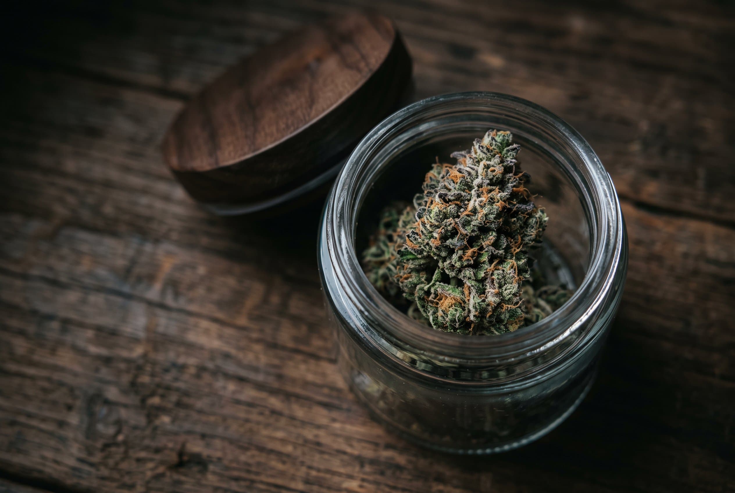 Northern Lights cannabis strain profile displaying purple-tinted buds with dense crystals