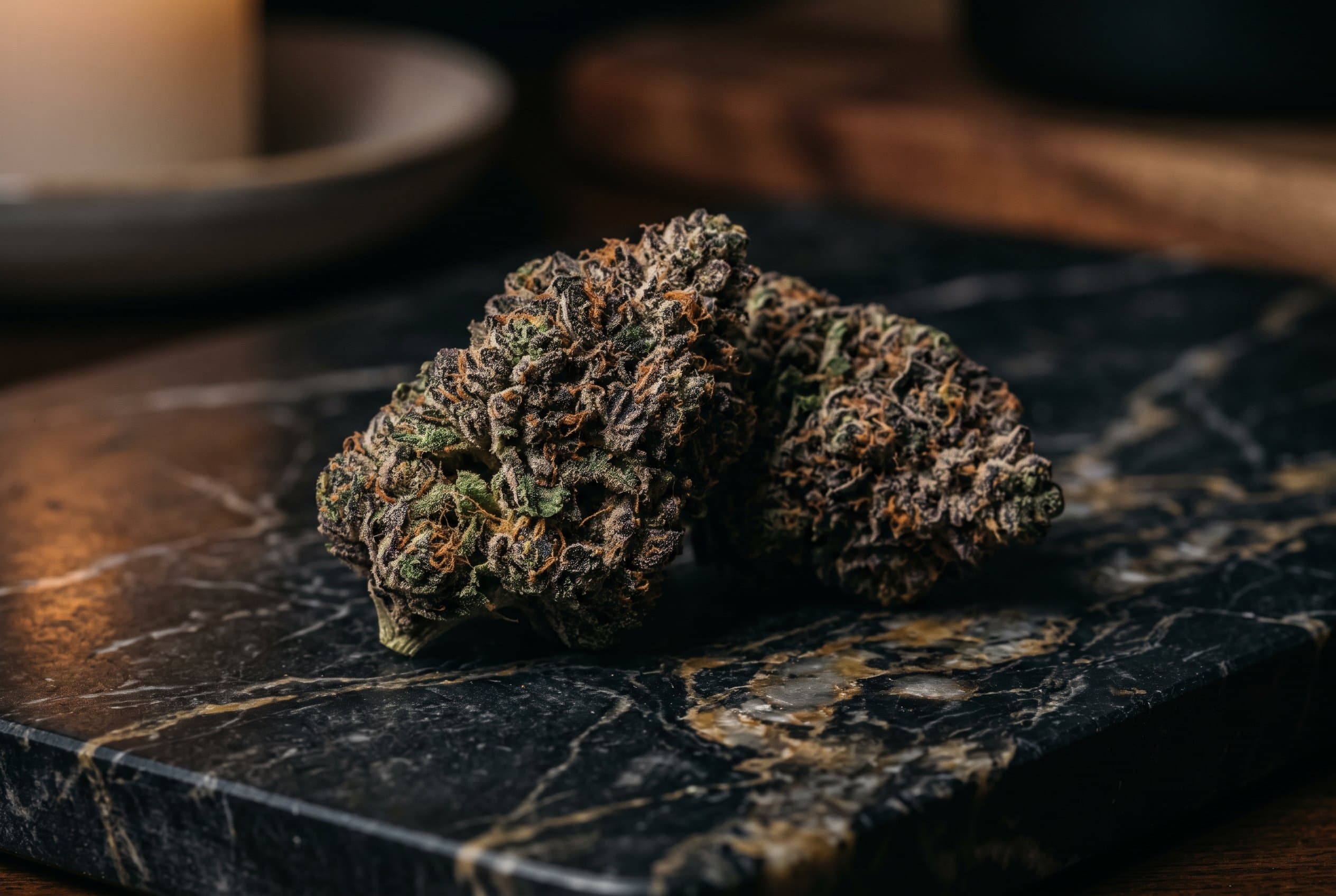 Cannabis plant types: indica vs sativa vs hybrid strains compared side by side