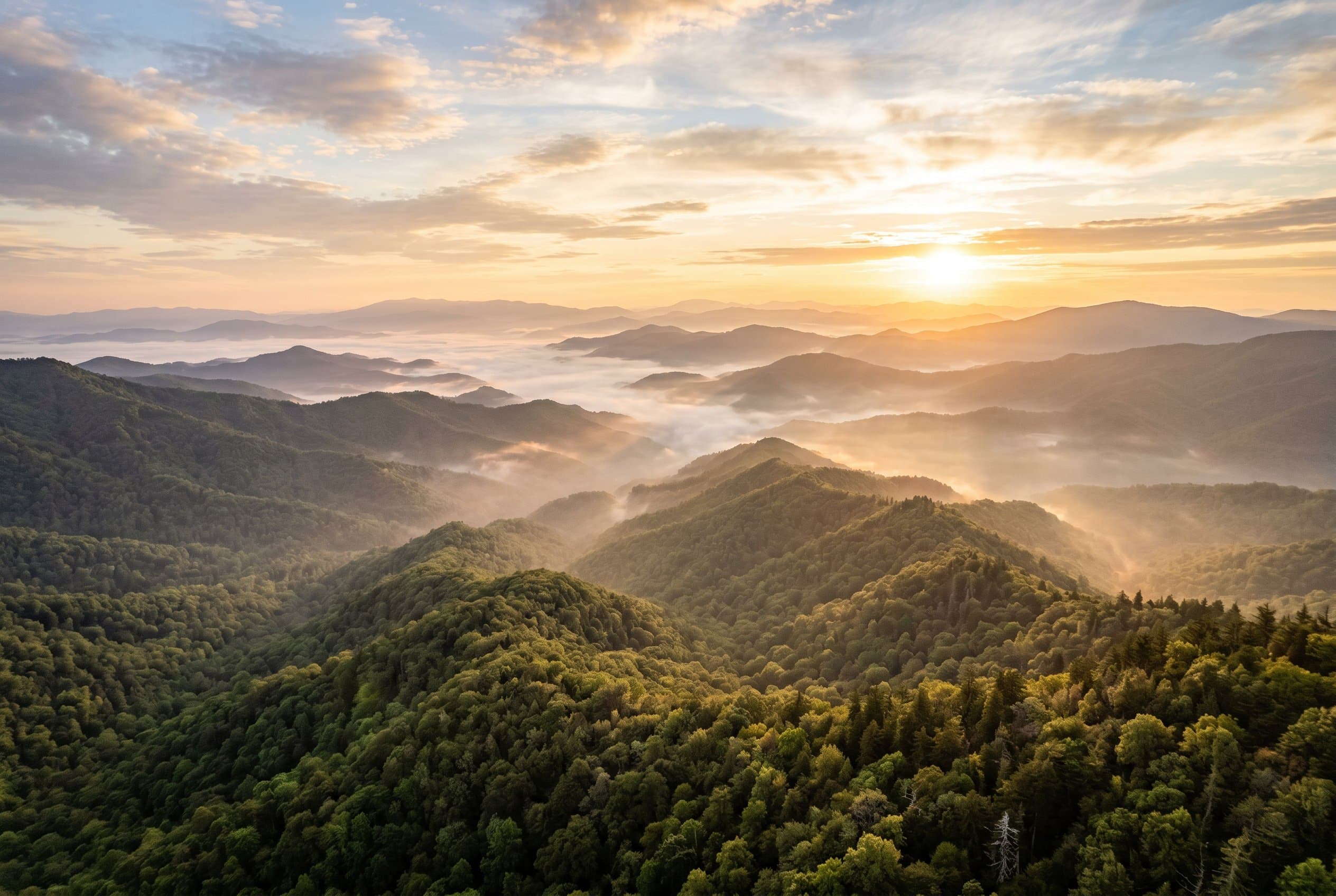 Tennessee cannabis laws