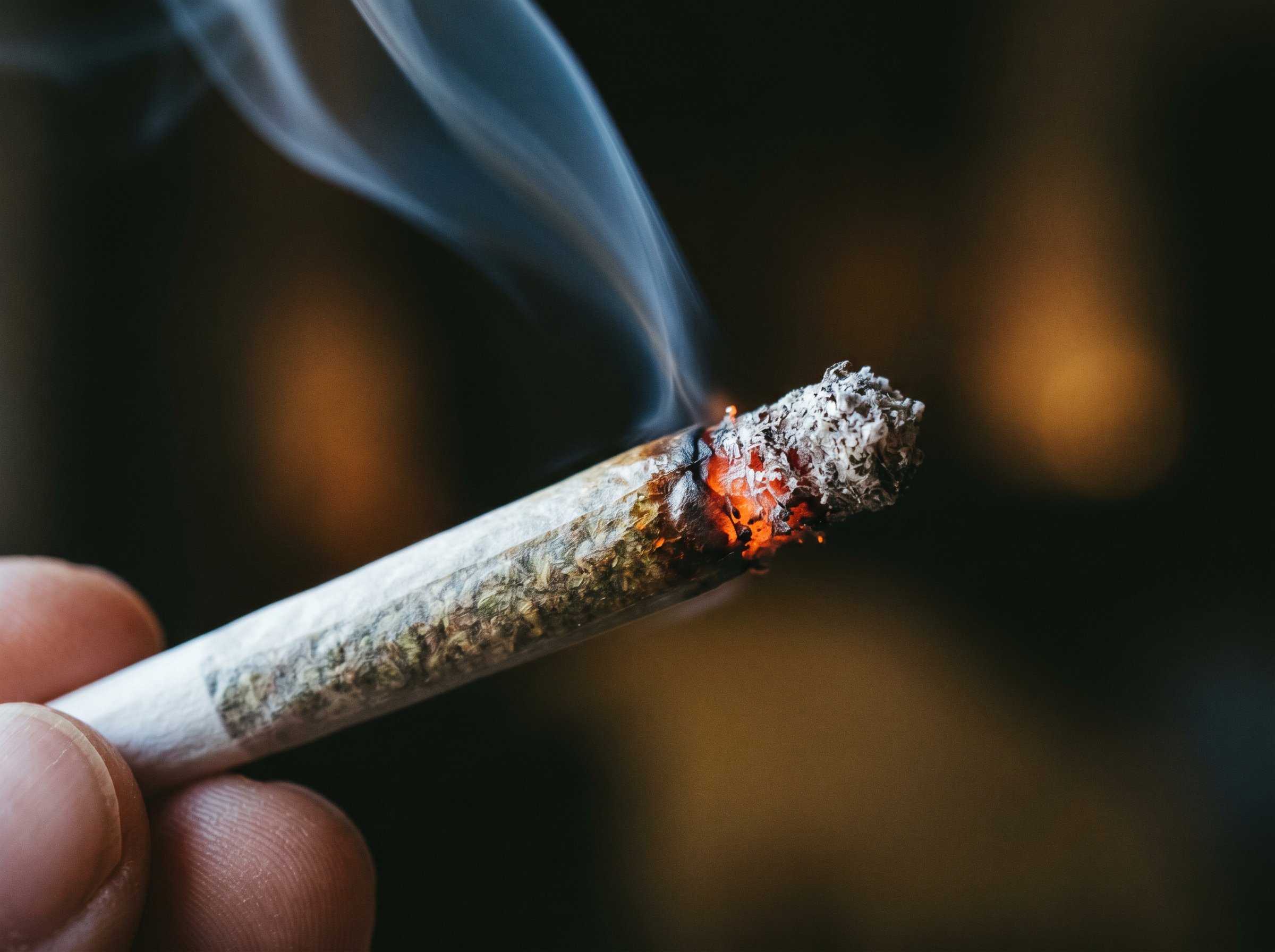 Cannabis tolerance explained chart showing THC percentage impact on tolerance buildup rates
